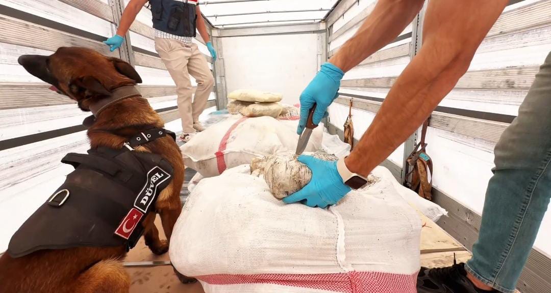 Şanlıurfa dahil 24 ilde dev operasyon: 138 şüpheli yakalandı