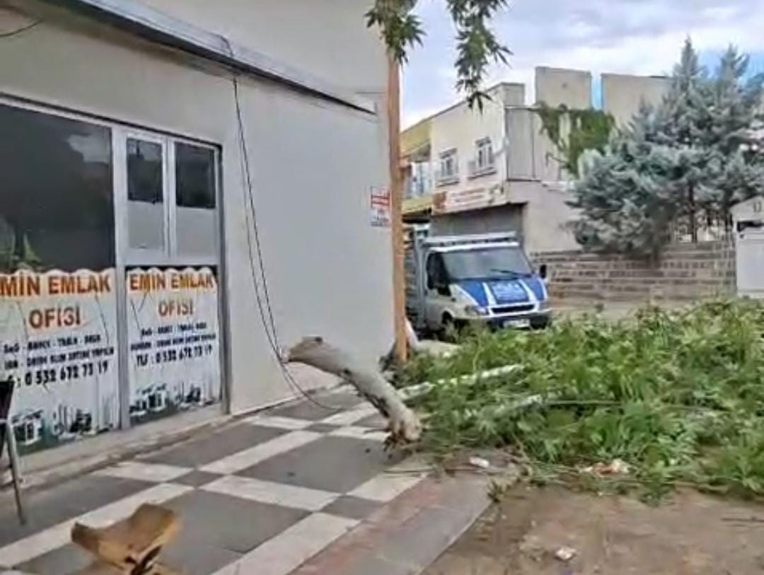 Siverek’te fırtına ağacı devirdi: Facianın eşiğinden dönüldü!