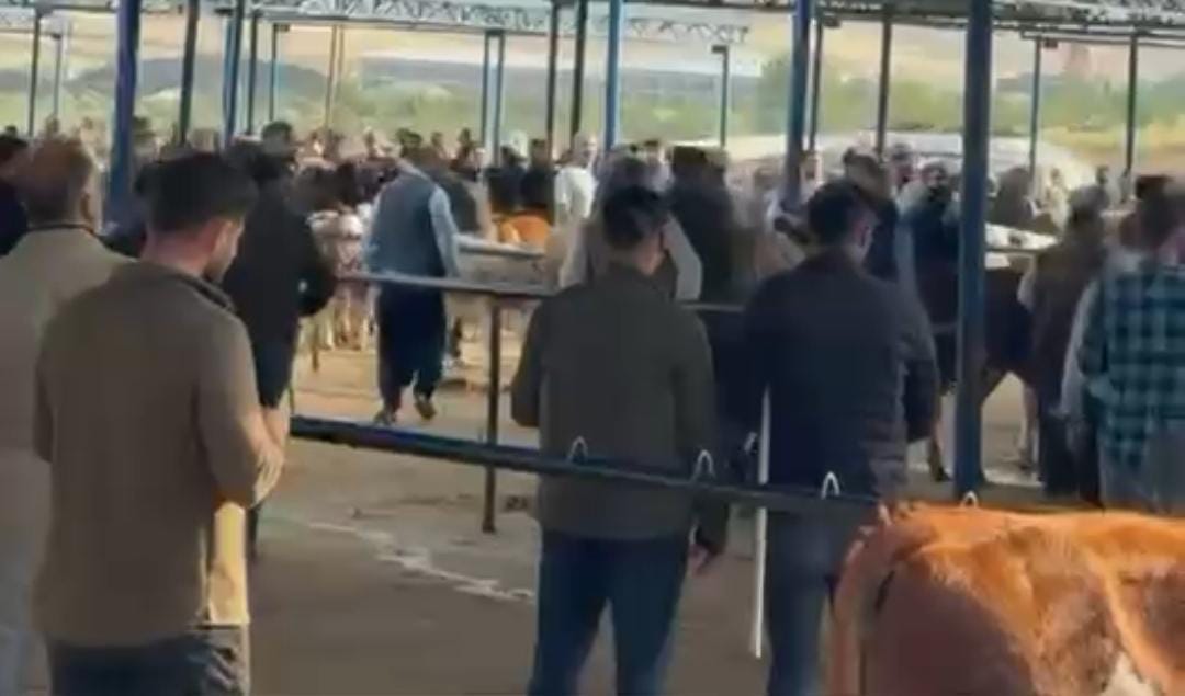 Siverek Canlı Hayvan Pazarı’nda kavga: 1 yaralı