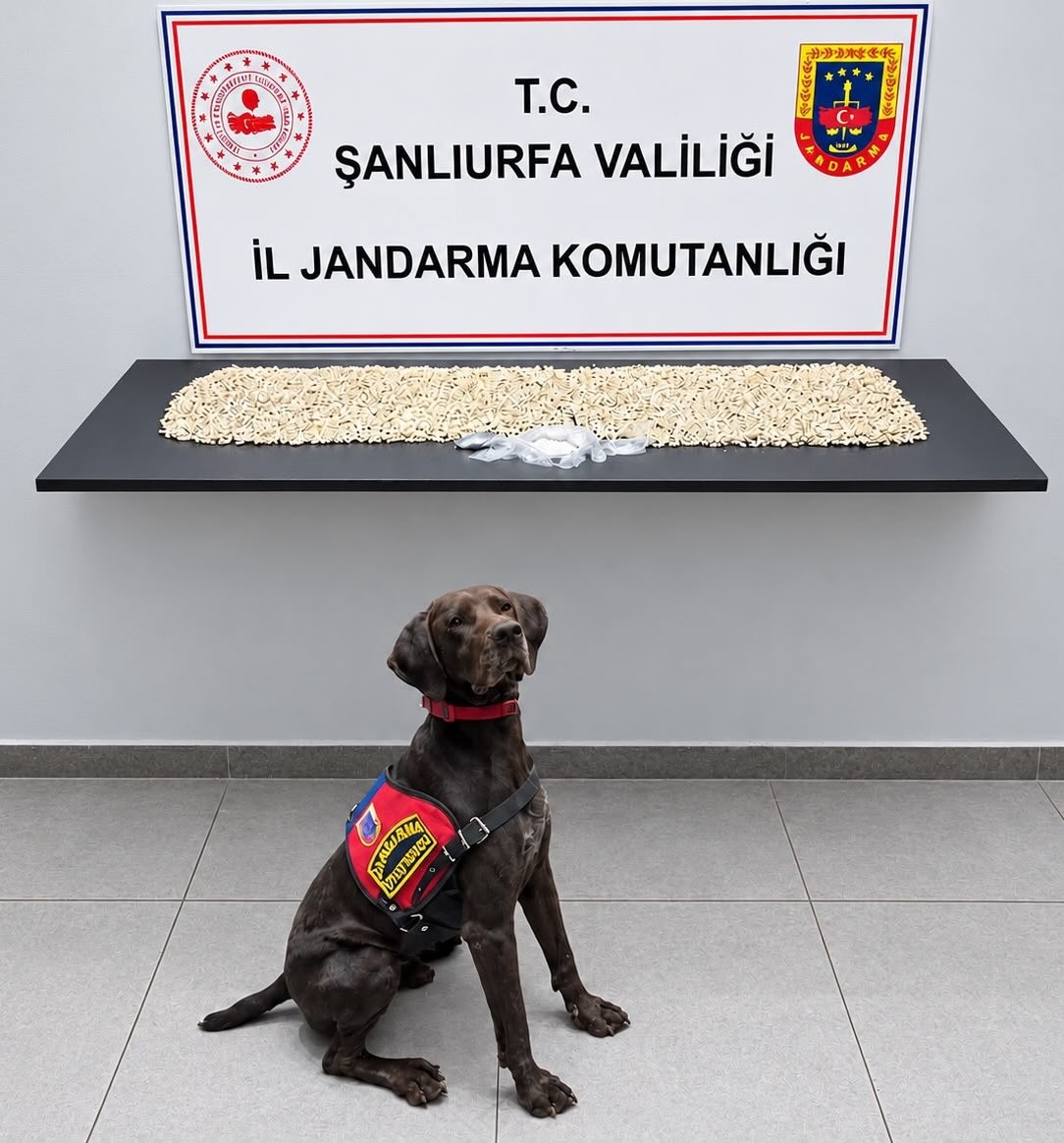 Eyyübiye’de uyuşturucu operasyonu: Binlerce Captagon hap ele geçirildi