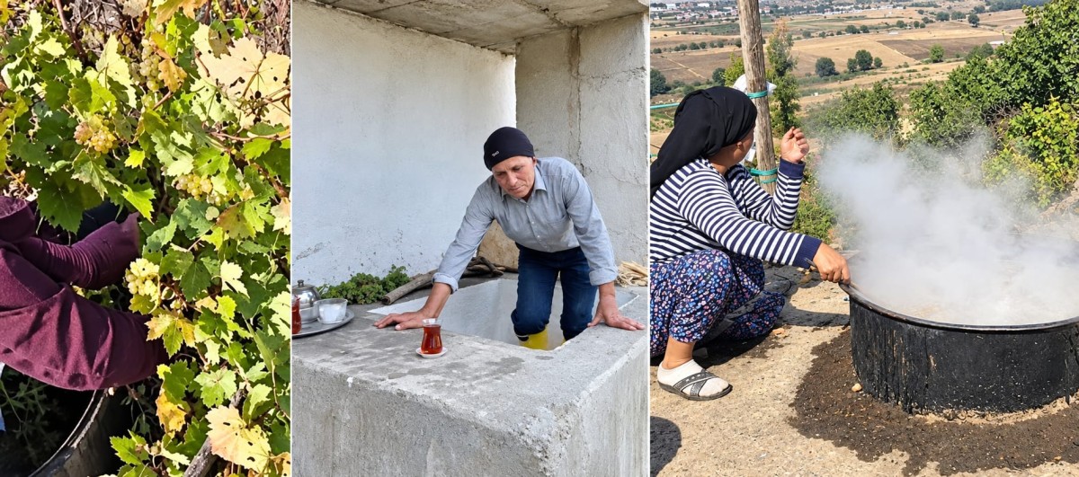 Güneydoğu’da asırlık gelenek: Bağ bozumuyla birlikte pekmez ve pestil mesaisi başladı